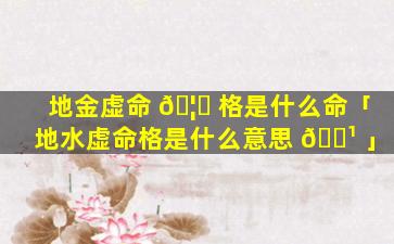 地金虚命 🦊 格是什么命「地水虚命格是什么意思 🌹 」